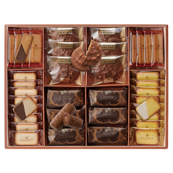 Aem[ VRKg[ A\[g (CGA-50A)